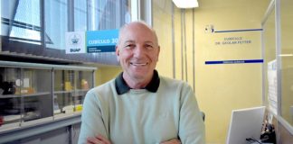 En la BUAP desarrollan nanomateriales como inhibidores bacterianos y compuestos anticancerígenos